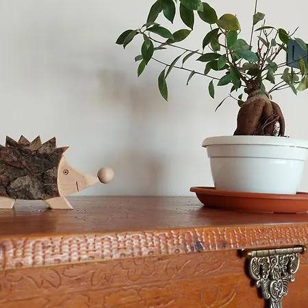 Eco Terra By Sea There Fuerteventura *