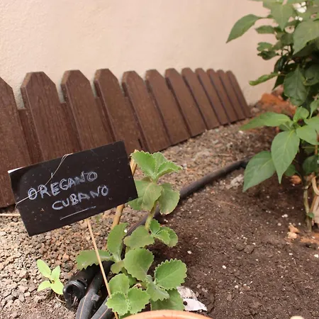 Eco Terra By Sea There Fuerteventura Puerto del Rosario (Fuerteventura)