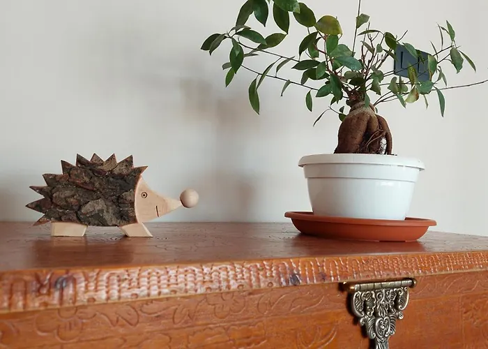 Eco Terra By Sea There Fuerteventura *