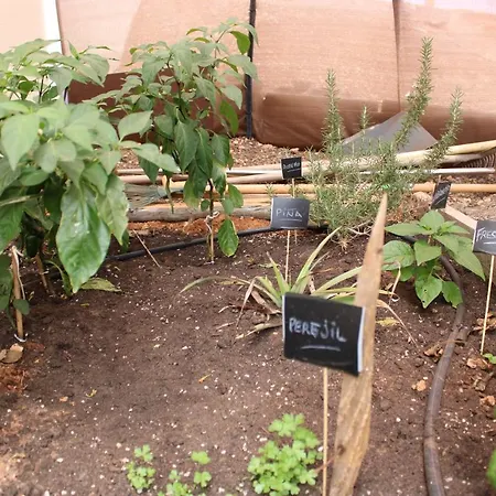 Eco Terra By Sea There Fuerteventura