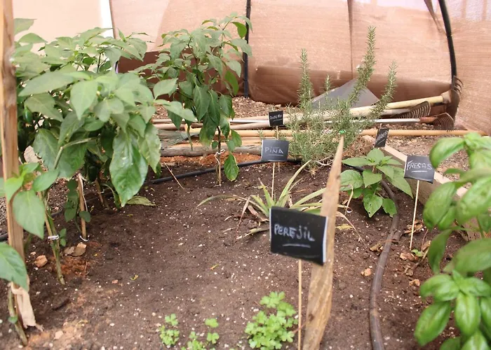 Eco Terra By Sea There Fuerteventura