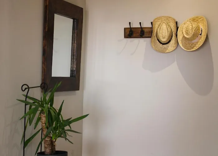 Eco Terra By Sea There Fuerteventura *