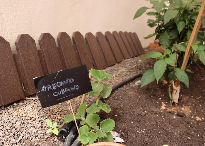 Eco Terra By Sea There Fuerteventura Puerto del Rosario (Fuerteventura)
